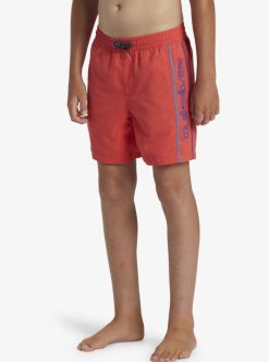 Quiksilver Everyday Vert Volley - Short De Bain Pour Garcon 8-16 Ans | Surf Shop Enfant