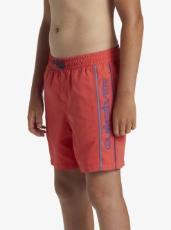 Quiksilver Everyday Vert Volley - Short De Bain Pour Garcon 8-16 Ans | Surf Shop Enfant