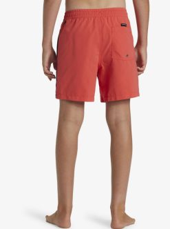 Quiksilver Everyday Vert Volley - Short De Bain Pour Garcon 8-16 Ans | Surf Shop Enfant