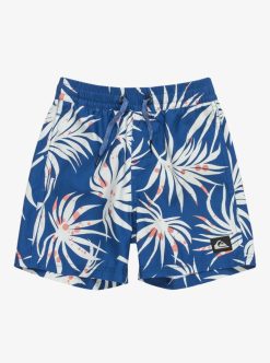 Quiksilver Everyday Mix Volley - Short De Bain Pour Garcon 2-7 | Surf Shop Enfant