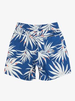 Quiksilver Everyday Mix Volley - Short De Bain Pour Garcon 2-7 | Surf Shop Enfant