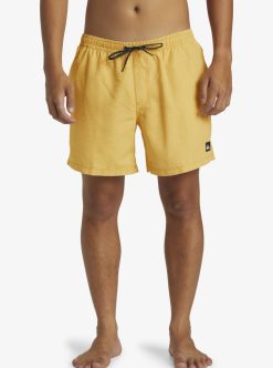 Quiksilver Everyday Deluxe Volley 15" - Short De Bain Pour Homme | Shorts De Bain