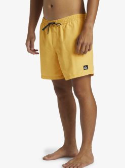 Quiksilver Everyday Deluxe Volley 15" - Short De Bain Pour Homme | Shorts De Bain