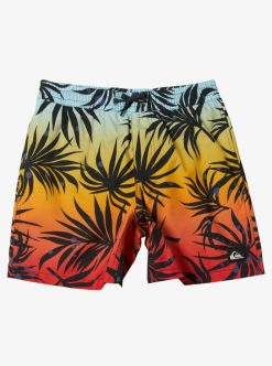 Quiksilver Everyday Mix Volley - Short De Bain Pour Garcon 8-16 Ans | Surf Shop Enfant