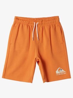 Quiksilver Easy Day - Short En Molleton Pour Garcon 8-16 Ans | Shorts