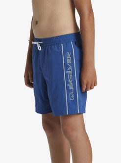 Quiksilver Everyday Vert Volley - Short De Bain Pour Garcon 8-16 Ans | Surf Shop Enfant