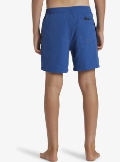 Quiksilver Everyday Vert Volley - Short De Bain Pour Garcon 8-16 Ans | Surf Shop Enfant