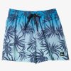 Quiksilver Everyday Mix Volley - Short De Bain Pour Garcon 8-16 Ans | Surf Shop Enfant