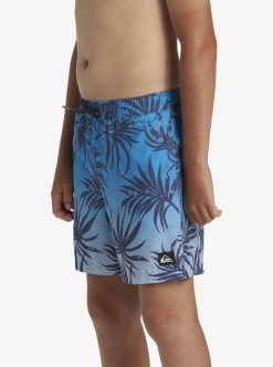 Quiksilver Everyday Mix Volley - Short De Bain Pour Garcon 8-16 Ans | Surf Shop Enfant