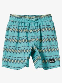 Quiksilver Everyday Heritage - Short De Bain Pour Garcon 2-7 | Surf Shop Enfant