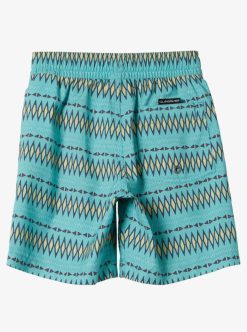 Quiksilver Everyday Heritage - Short De Bain Pour Garcon 2-7 | Surf Shop Enfant