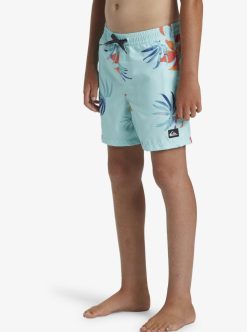 Quiksilver Everyday Mix Volley - Short De Bain Pour Garcon 8-16 Ans | Surf Shop Enfant