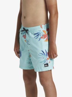 Quiksilver Everyday Mix Volley - Short De Bain Pour Garcon 8-16 Ans | Surf Shop Enfant