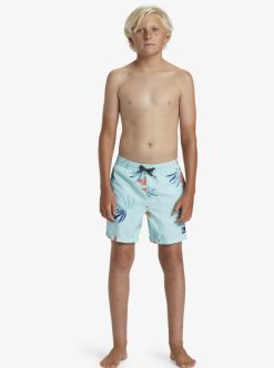 Quiksilver Everyday Mix Volley - Short De Bain Pour Garcon 8-16 Ans | Surf Shop Enfant