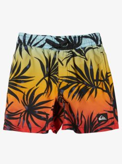 Quiksilver Everyday Mix Volley - Short De Bain Pour Garcon 2-7 | Surf Shop Enfant