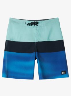 Quiksilver Everyday Panel - Boardshort Pour Garcon 8-16 Ans | Surf Shop Enfant